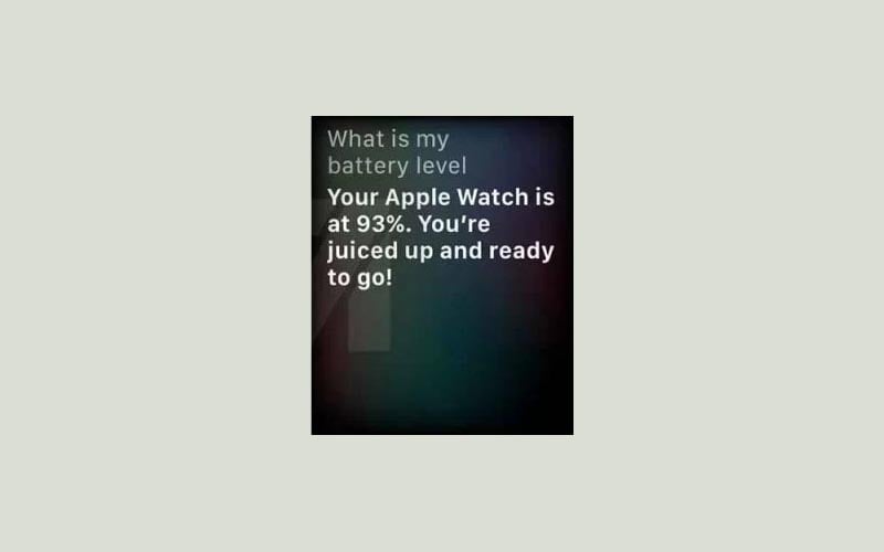 Kiểm tra thời lượng Apple Watch 14